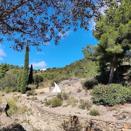Bel 3 Et Piscine A 2 Pas Du Port Lejlighed Gruissan